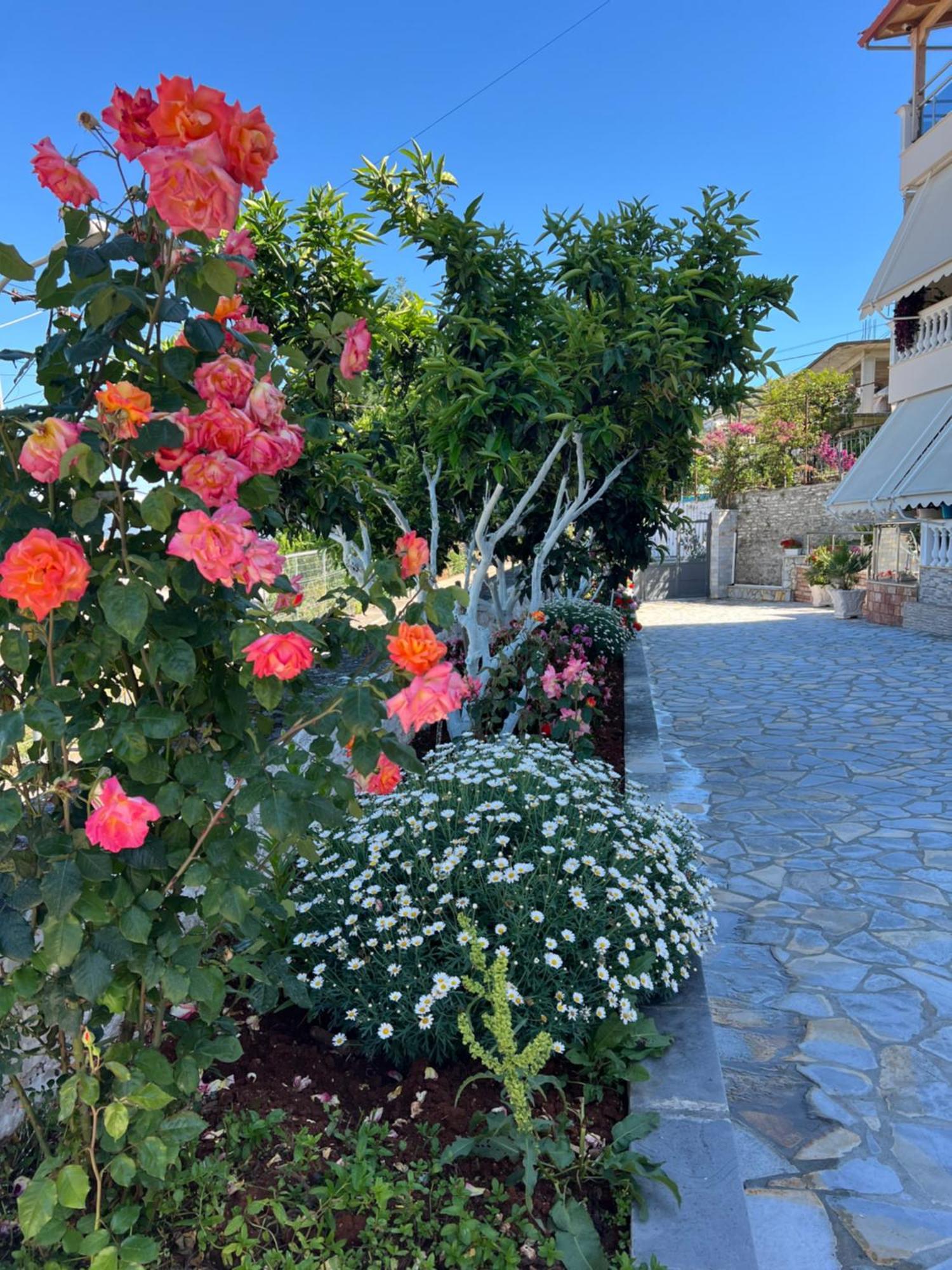 Amazing Familiar Apartments And Rooms Sarande Luaran gambar