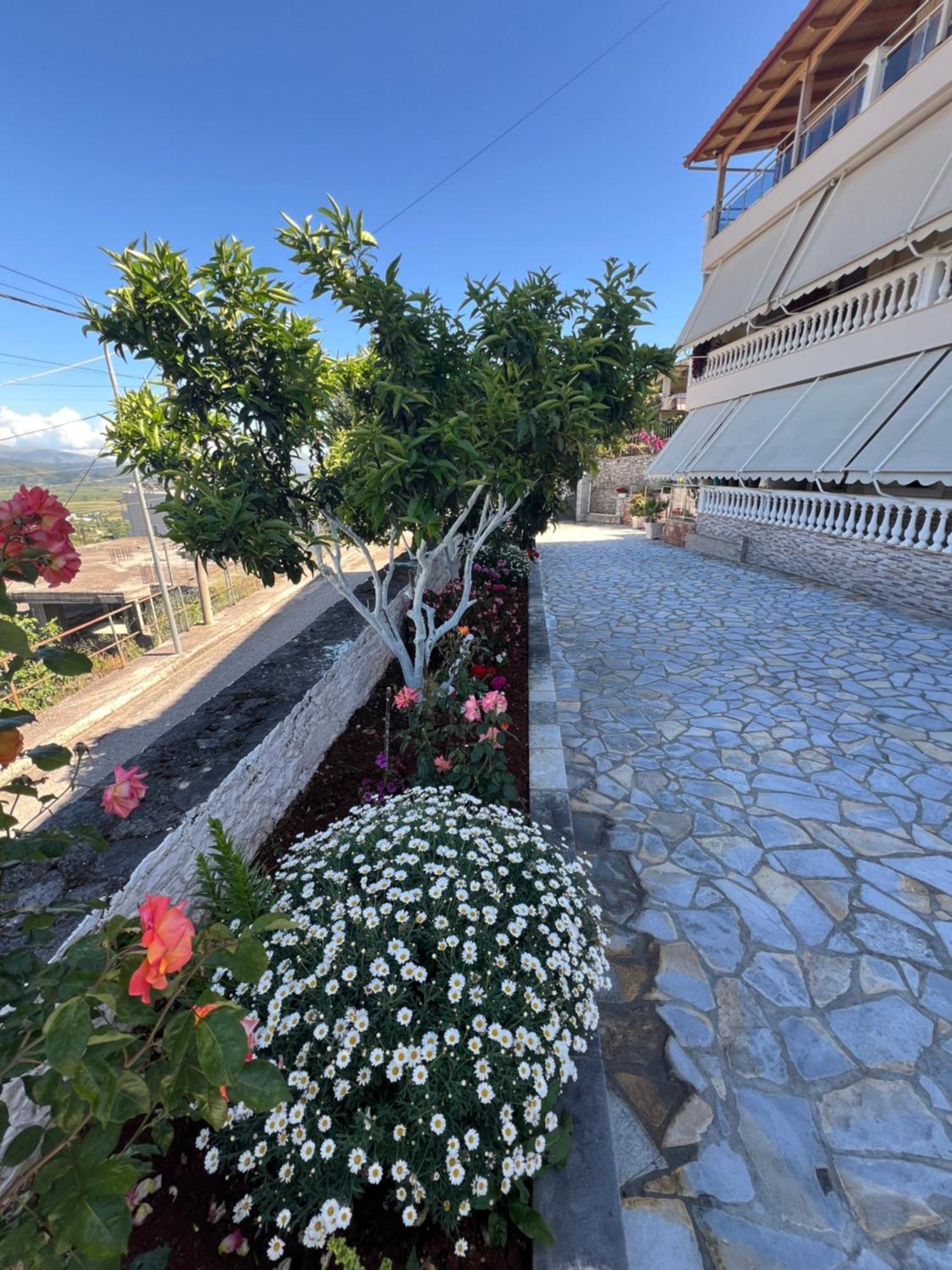 Amazing Familiar Apartments And Rooms Sarande Luaran gambar