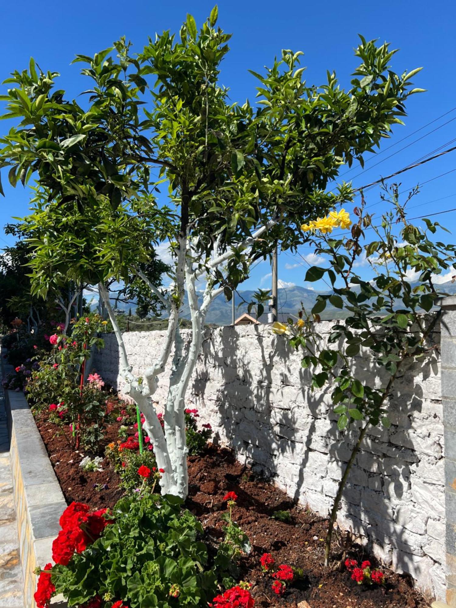 Amazing Familiar Apartments And Rooms Sarande Luaran gambar